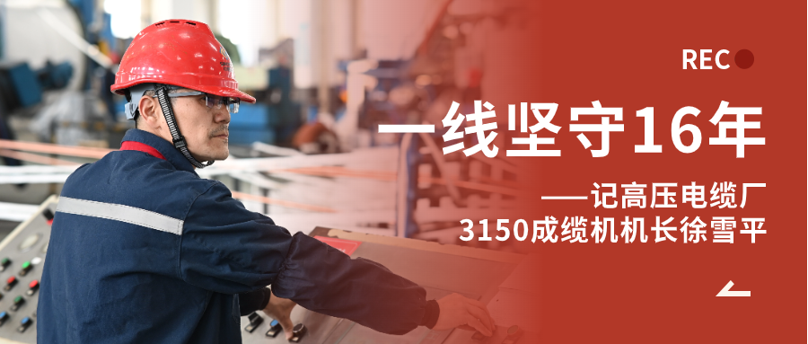 徐雪平：匠“成”于心，十六年筚路“缆”缕