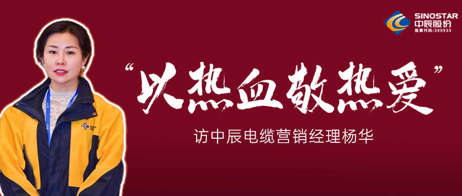 真正的热爱，铸就销售女王——访918博天堂(中国)电缆营销经理杨华
